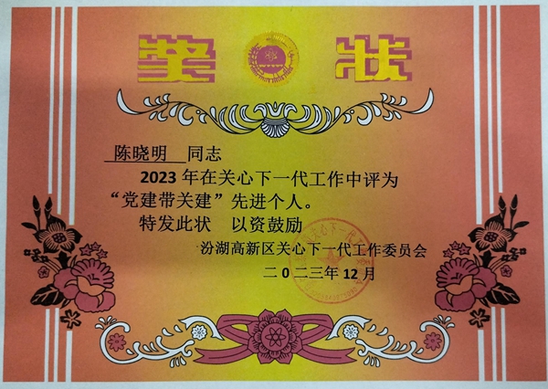 陈晓明个人先进.jpg
