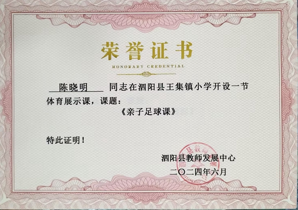陈晓明.jpg