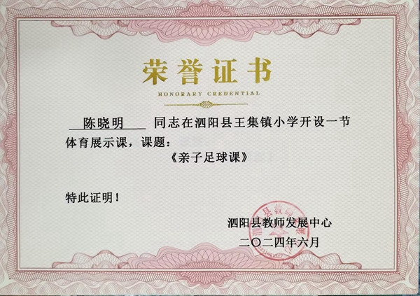 陈晓明.jpg